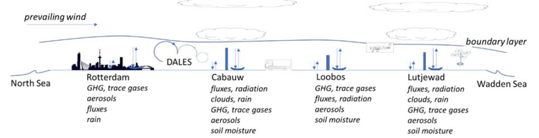 Transect of the measurements